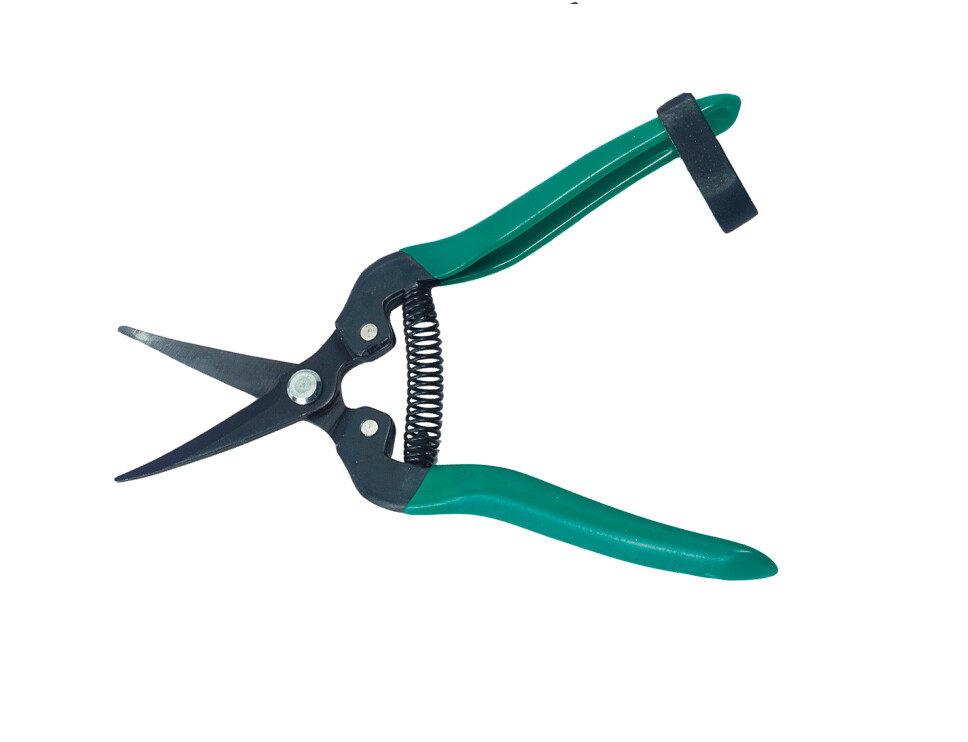 E-commerce Product Image