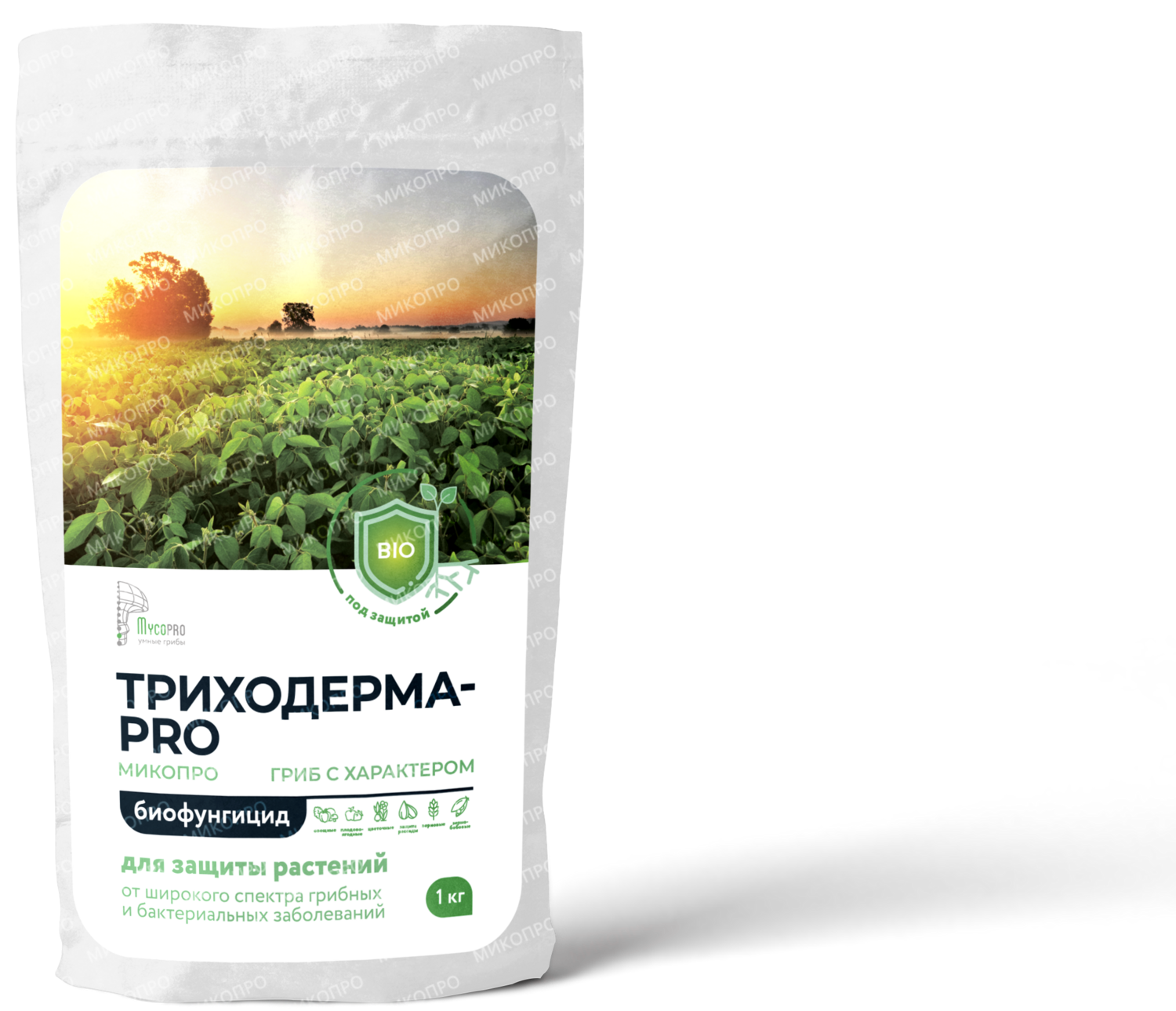 E-commerce Product Image