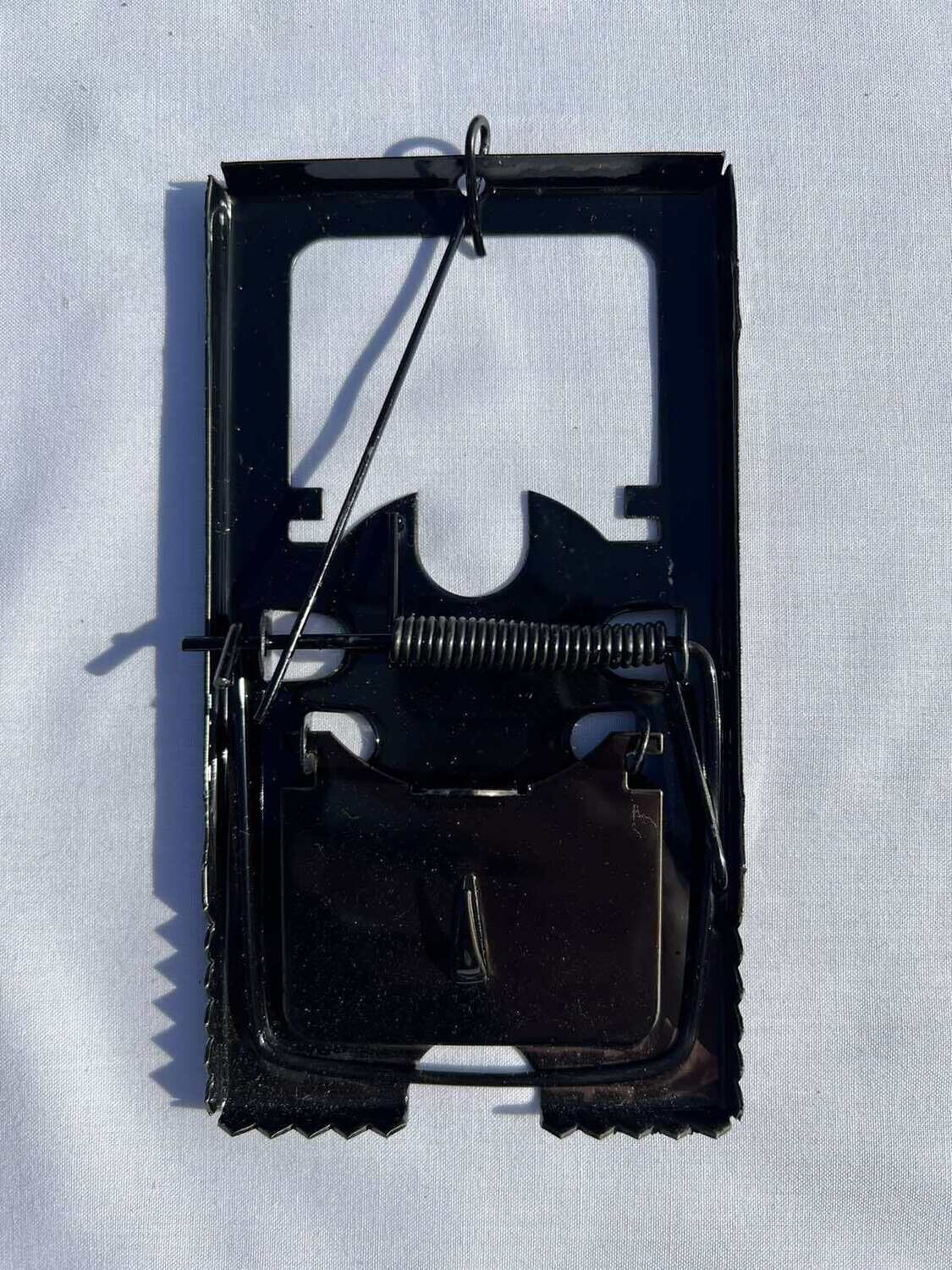 E-commerce Product Image