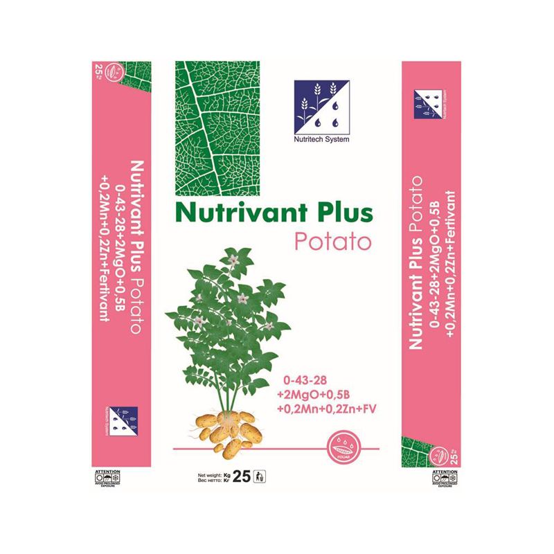 E-commerce Product Image