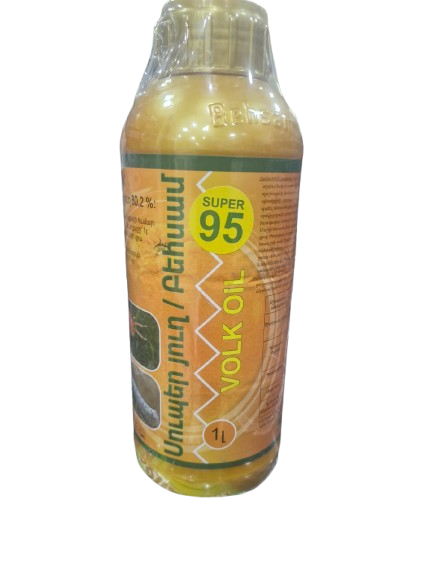 E-commerce Product Image