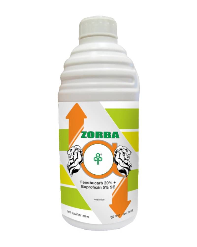 E-commerce Product Image