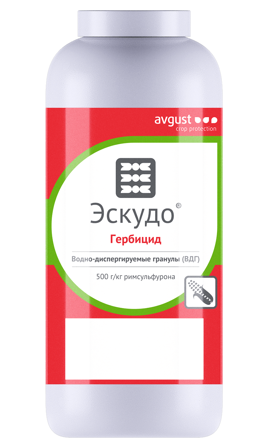 E-commerce Product Image