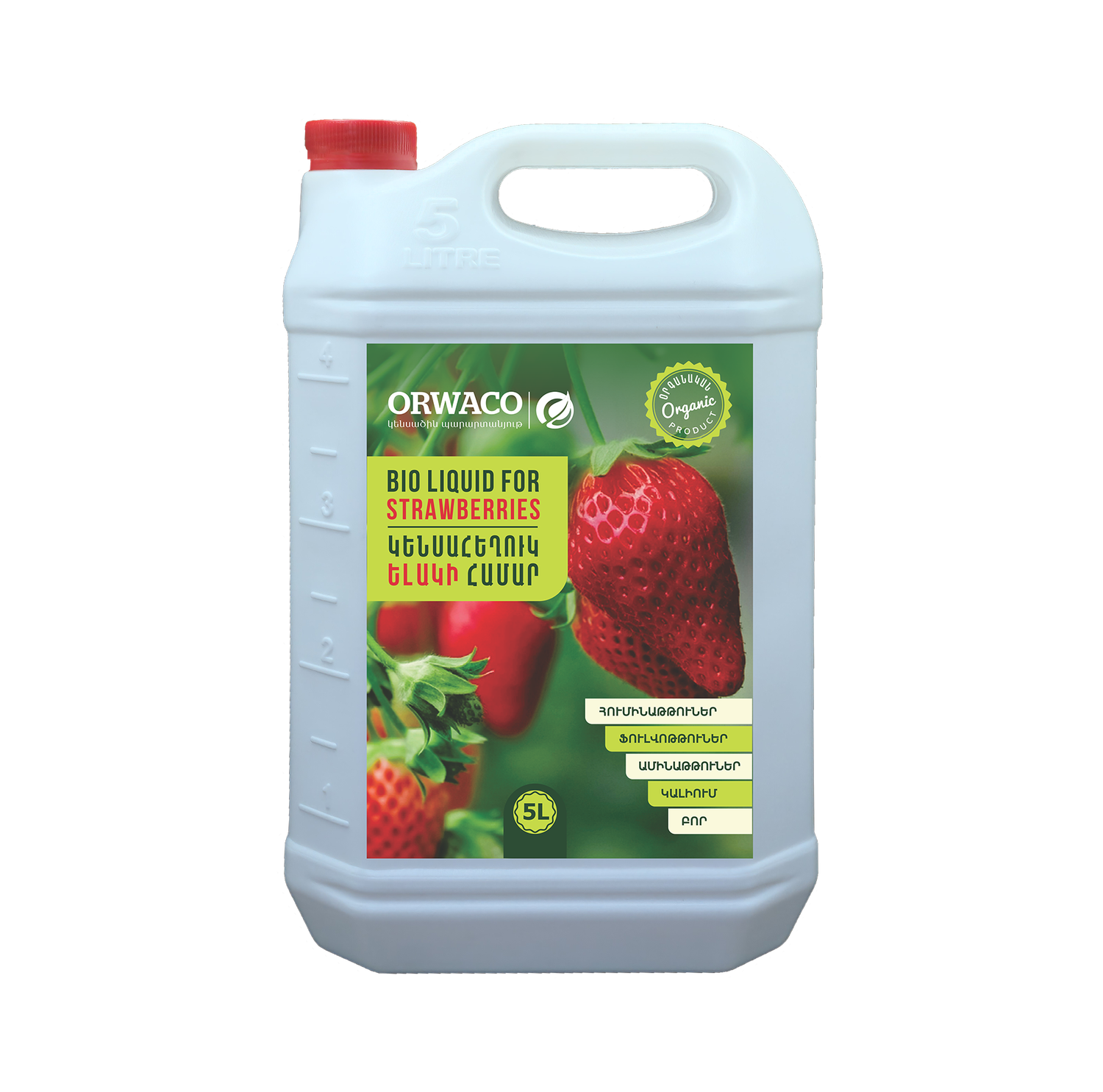 E-commerce Product Image