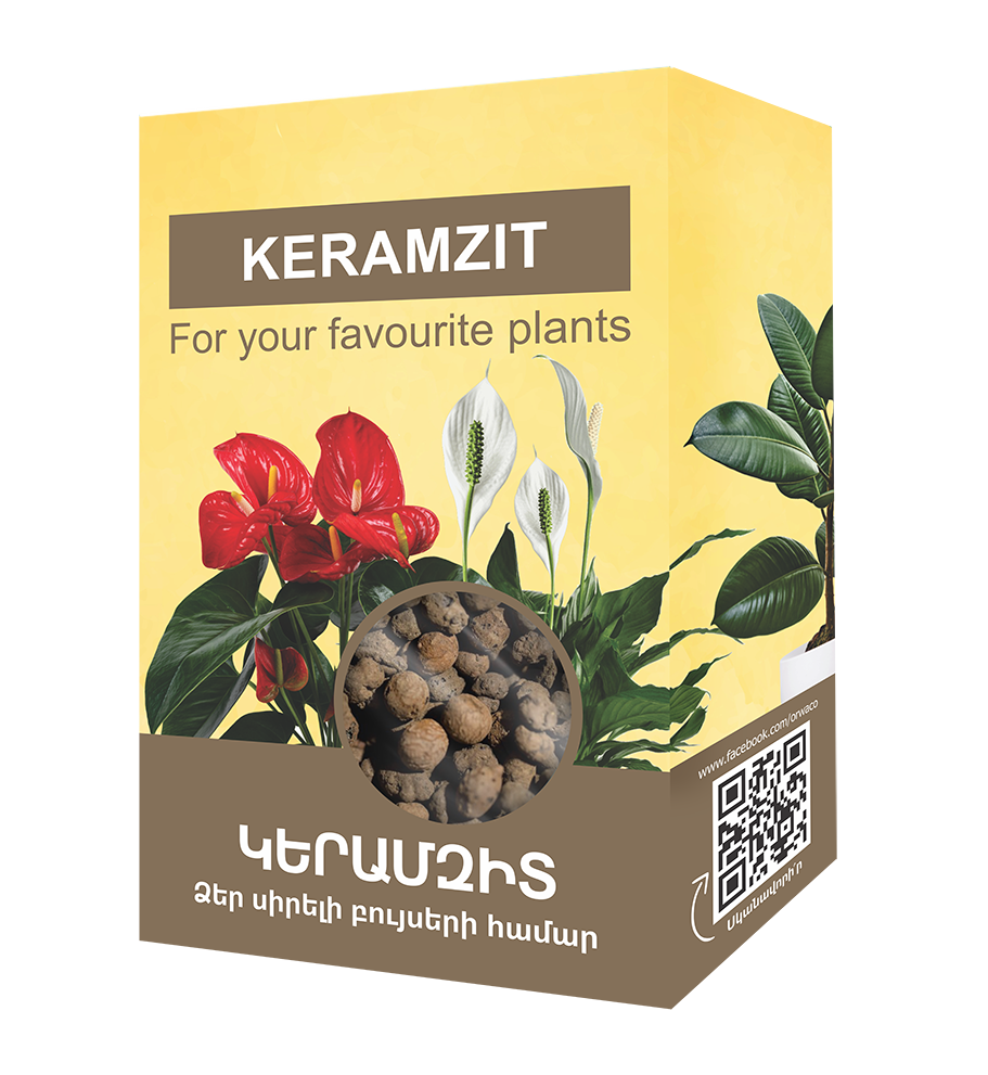 E-commerce Product Image