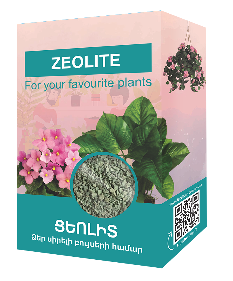 E-commerce Product Image