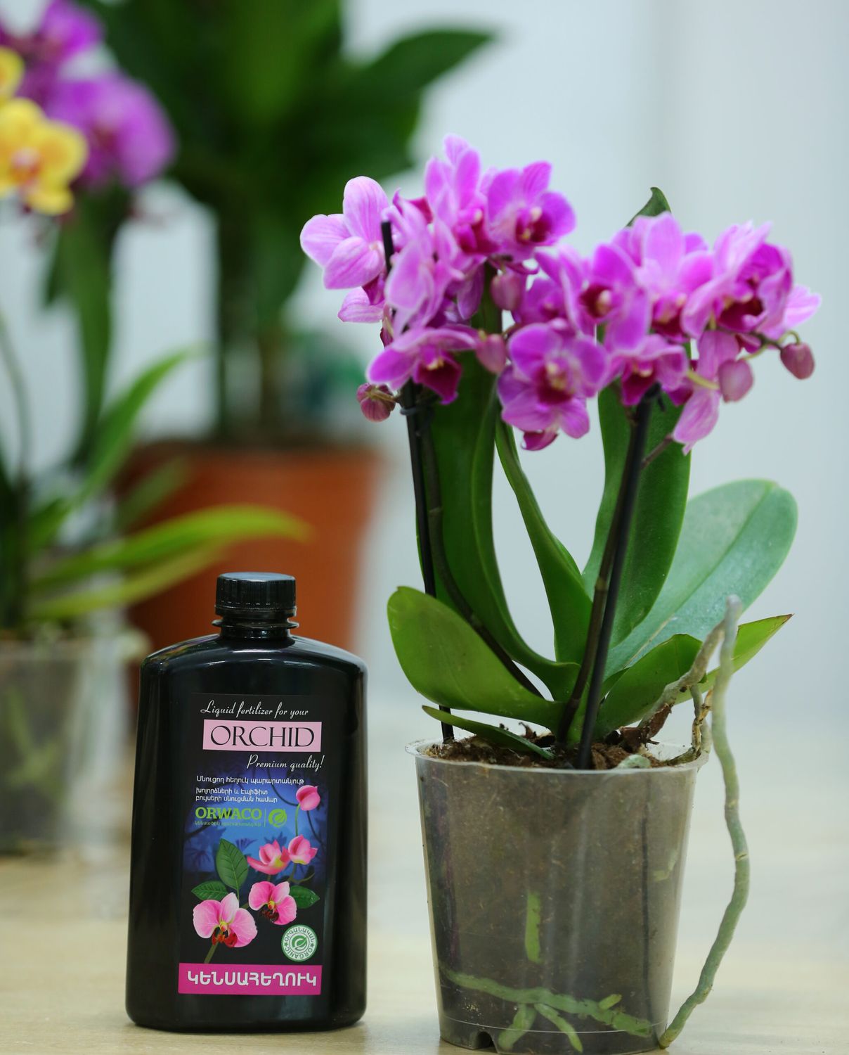 E-commerce Product Image