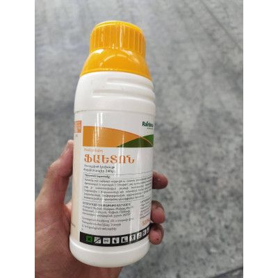 E-commerce Product Image