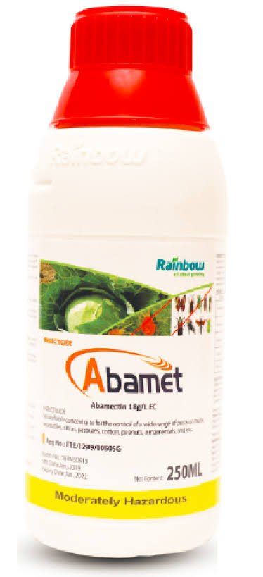 E-commerce Product Image