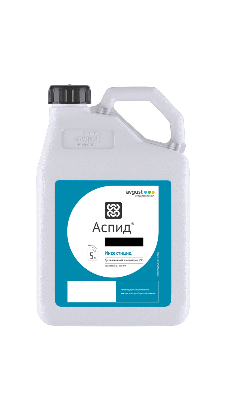 E-commerce Product Image