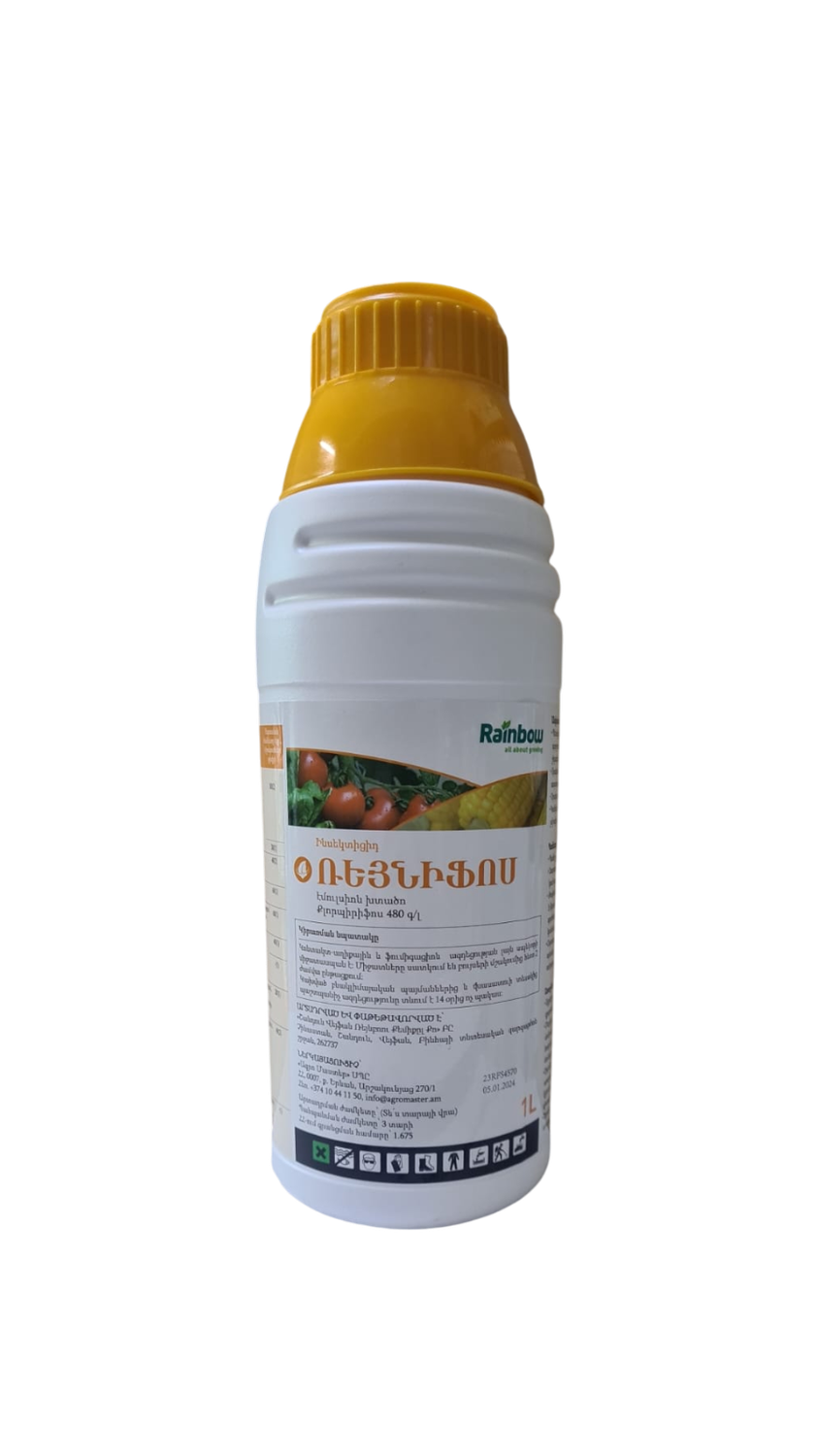 E-commerce Product Image