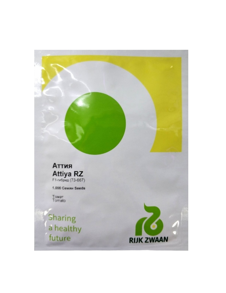 E-commerce Product Image