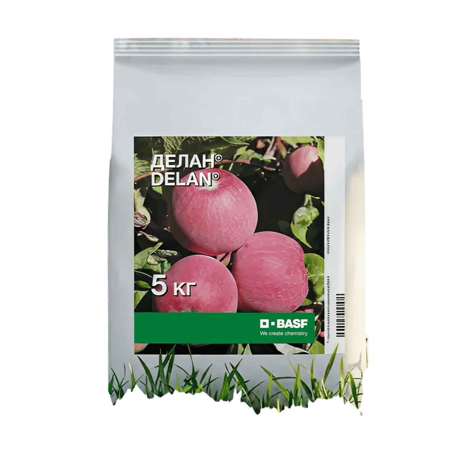 E-commerce Product Image