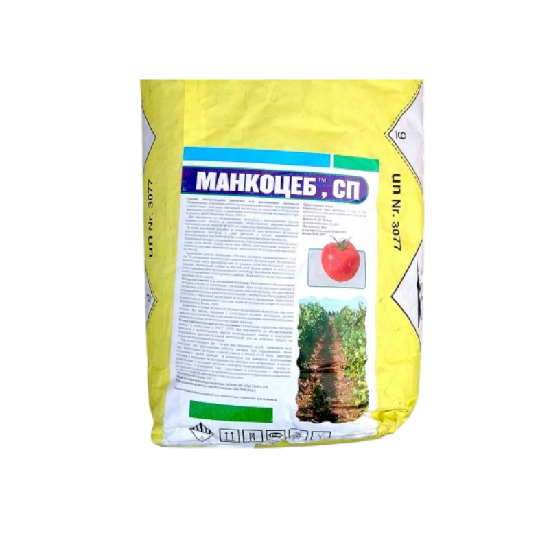 E-commerce Product Image