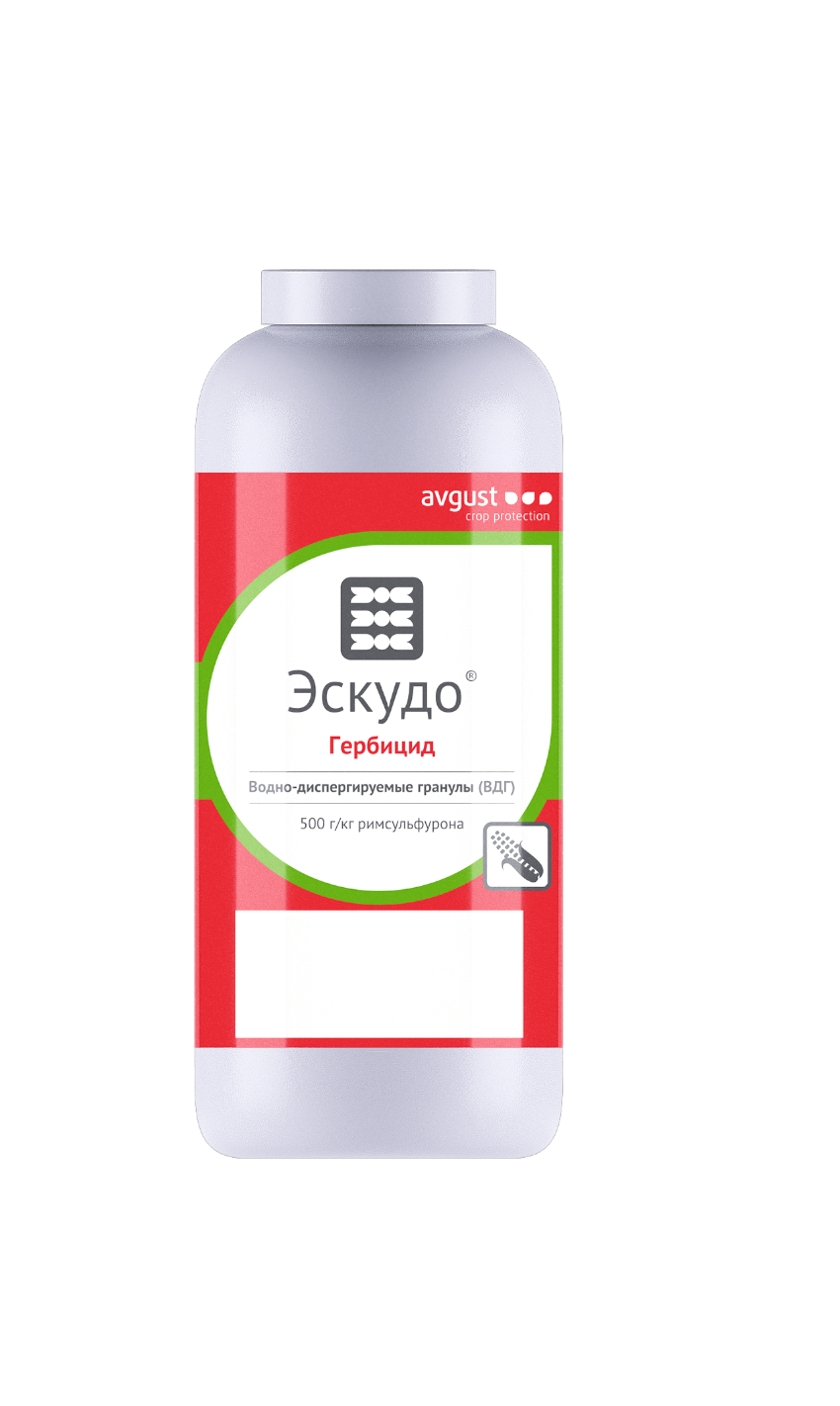 E-commerce Product Image