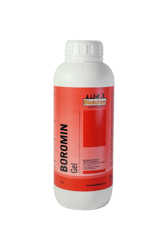 E-commerce Product Image