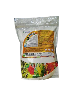 E-commerce Product Image