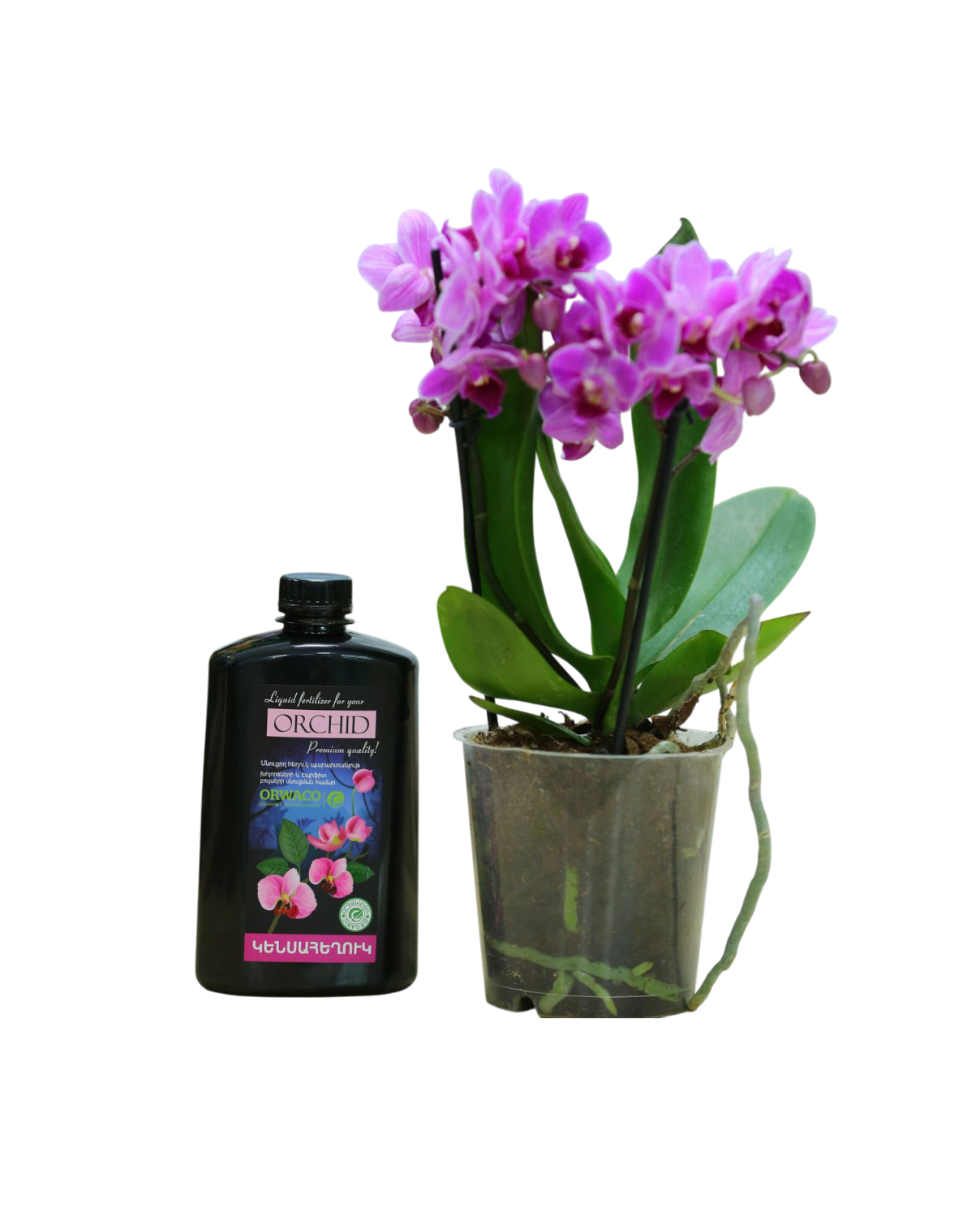 E-commerce Product Image