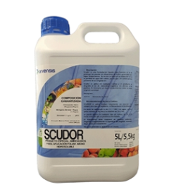 E-commerce Product Image