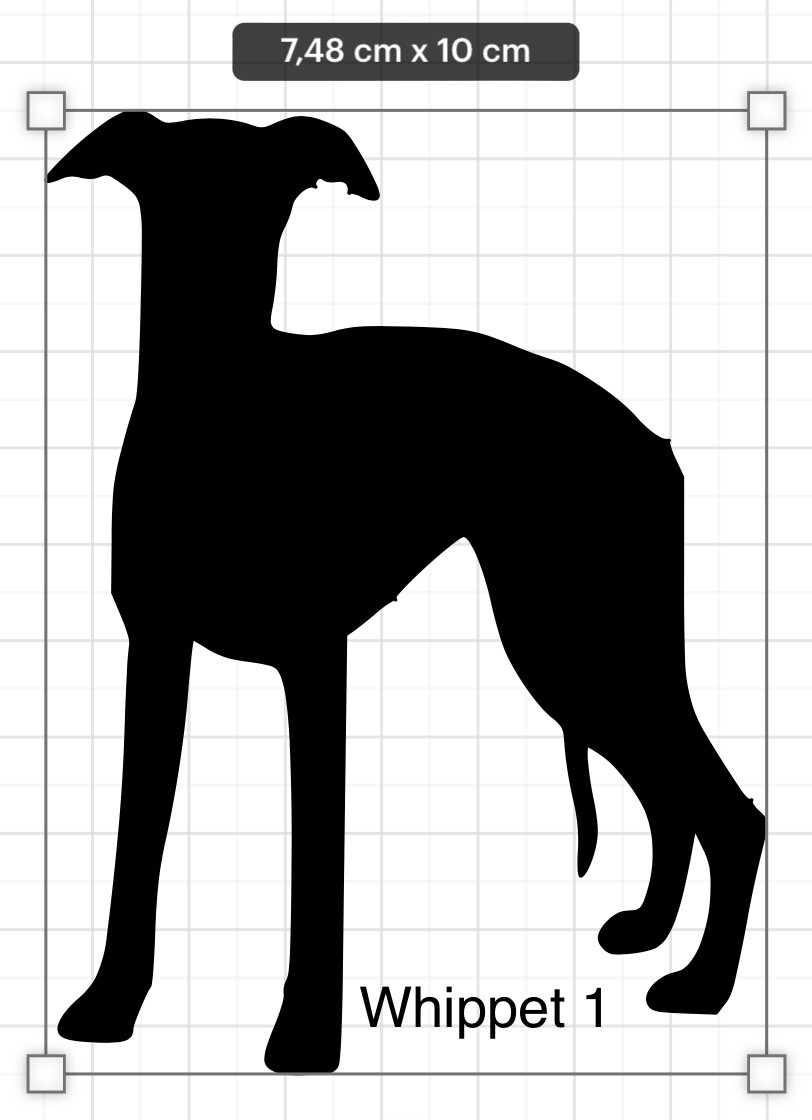 Autosticker