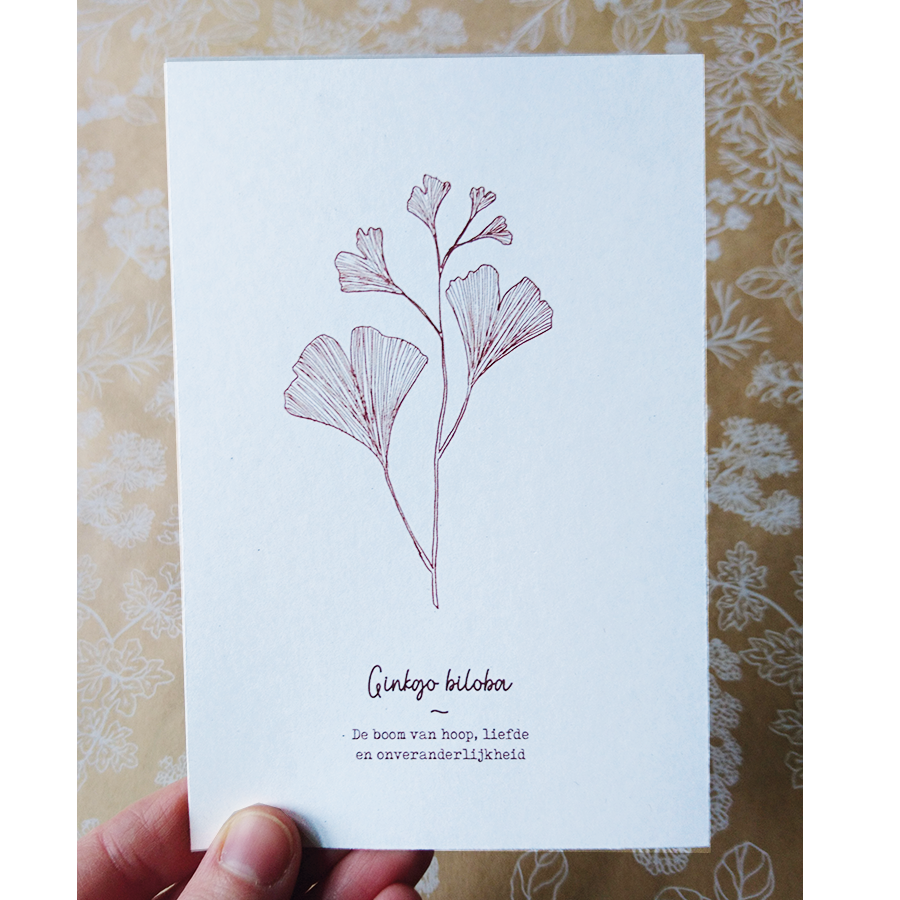 Ginkgo Biloba