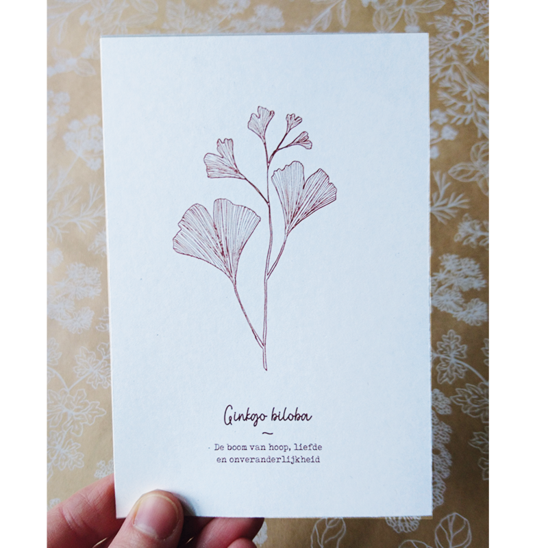 Ginkgo Biloba