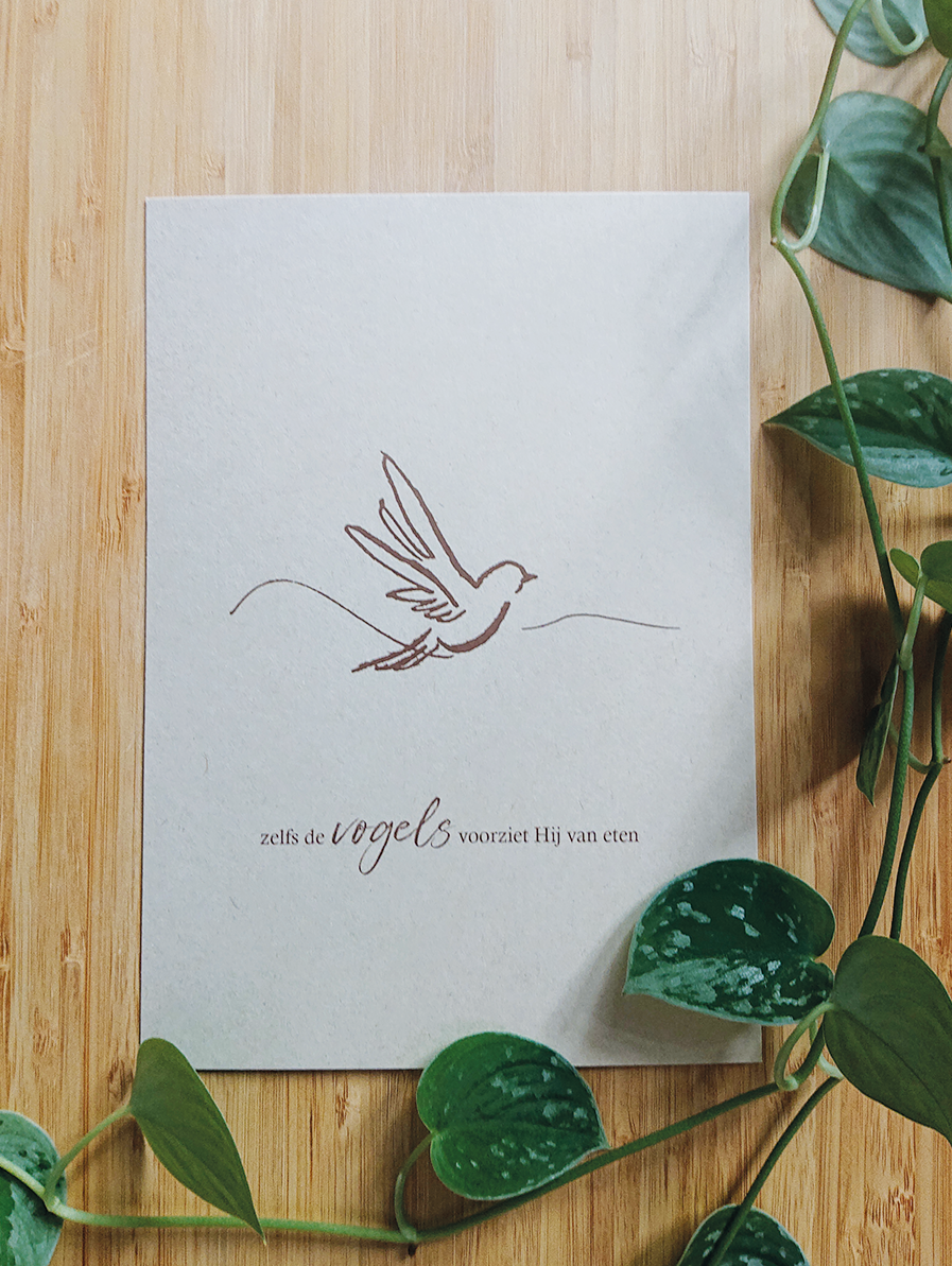 Miniposter A5 - Zelfs de vogels