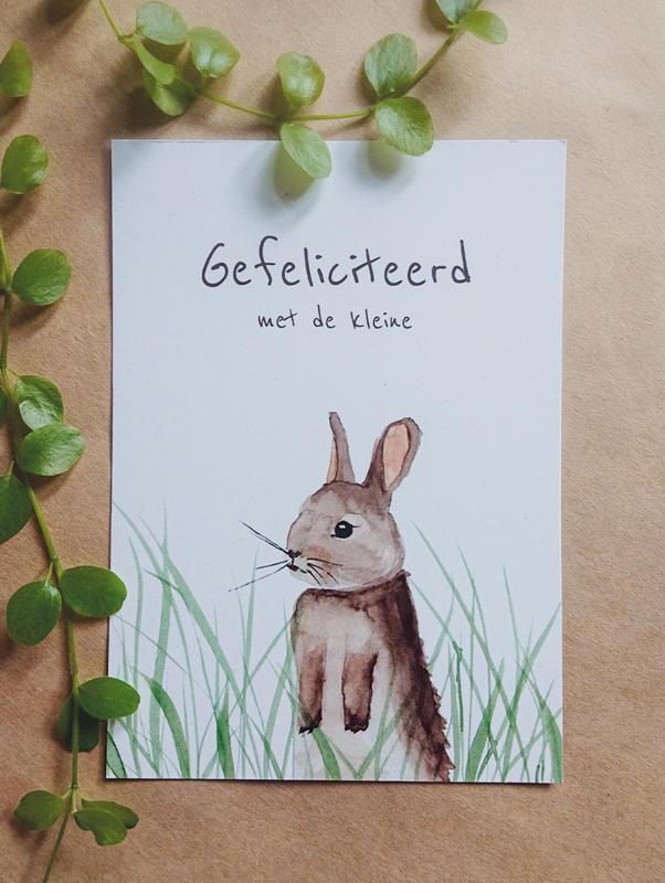 Geboorte - Konijntje in het gras