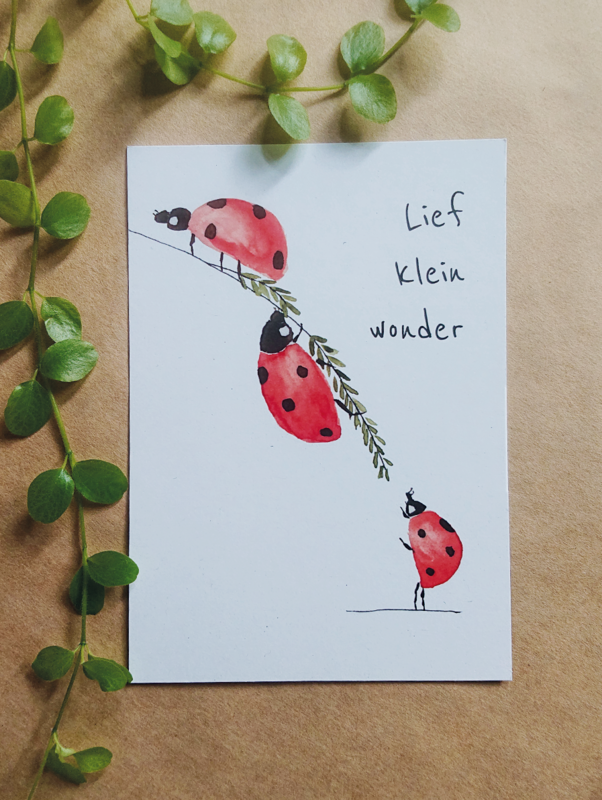 Geboorte - Lieveheersbeestjes