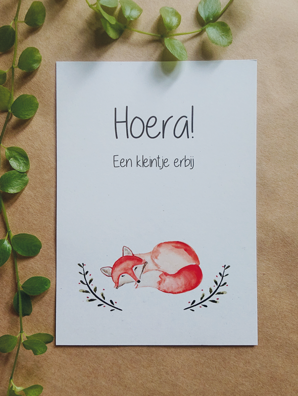 Geboorte - Slapend vosje