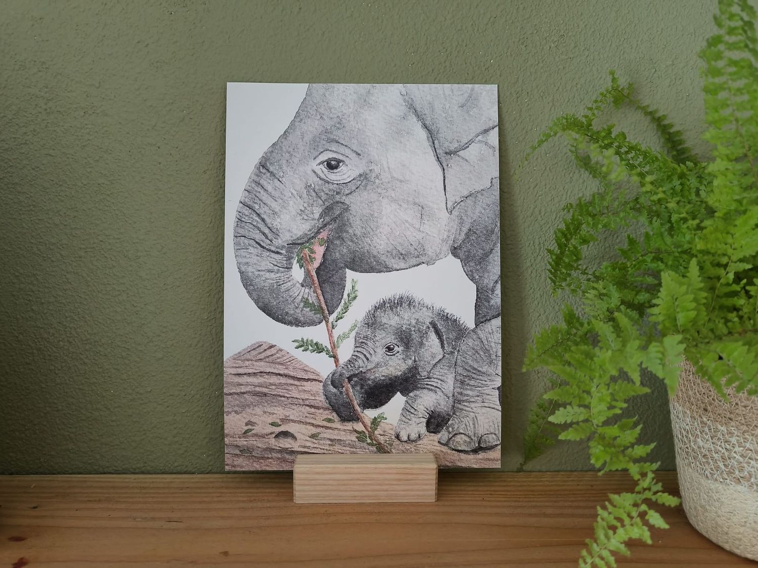 Poster A4 - Olifanten