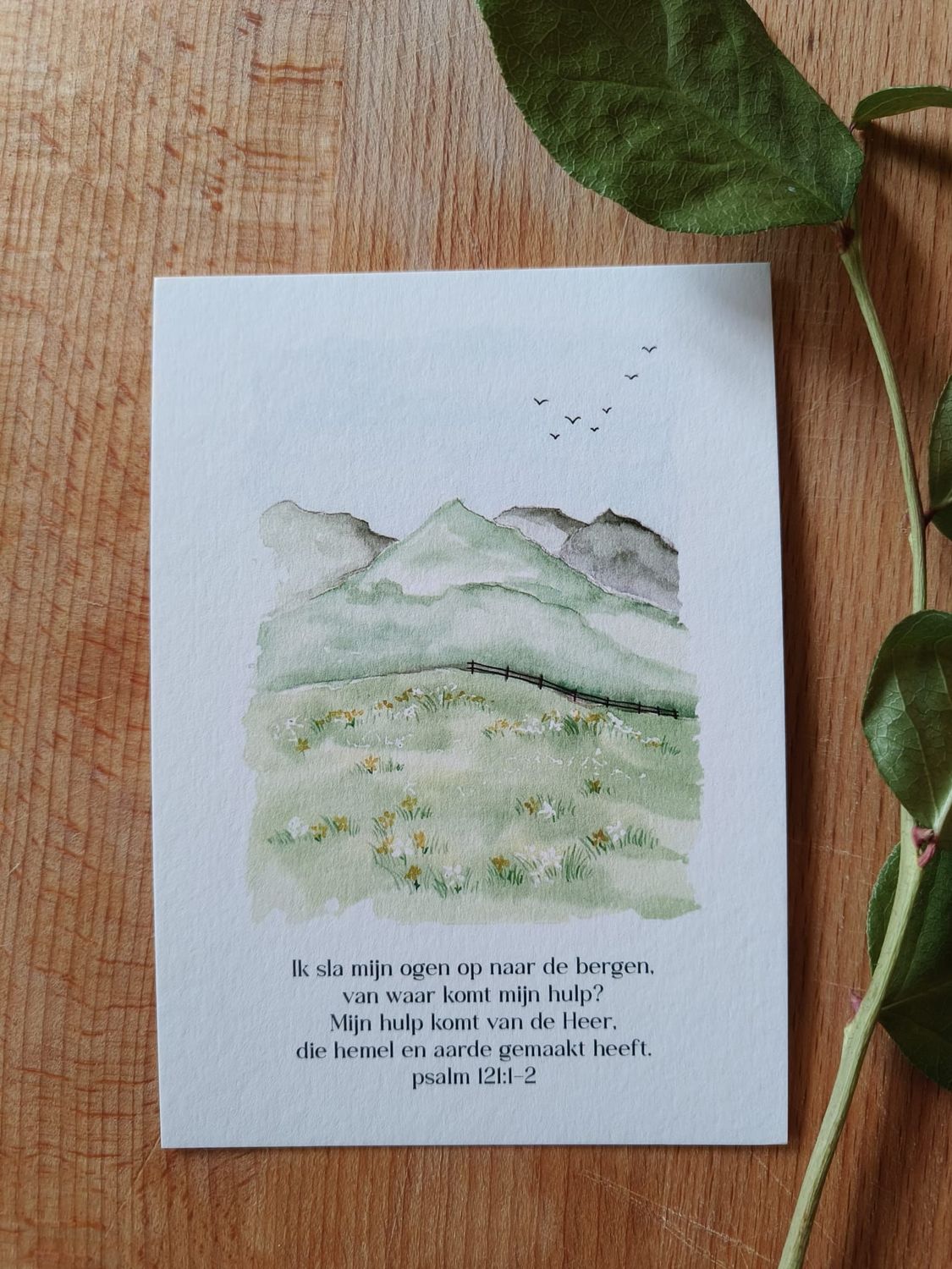Ik sla mijn ogen op naar de bergen