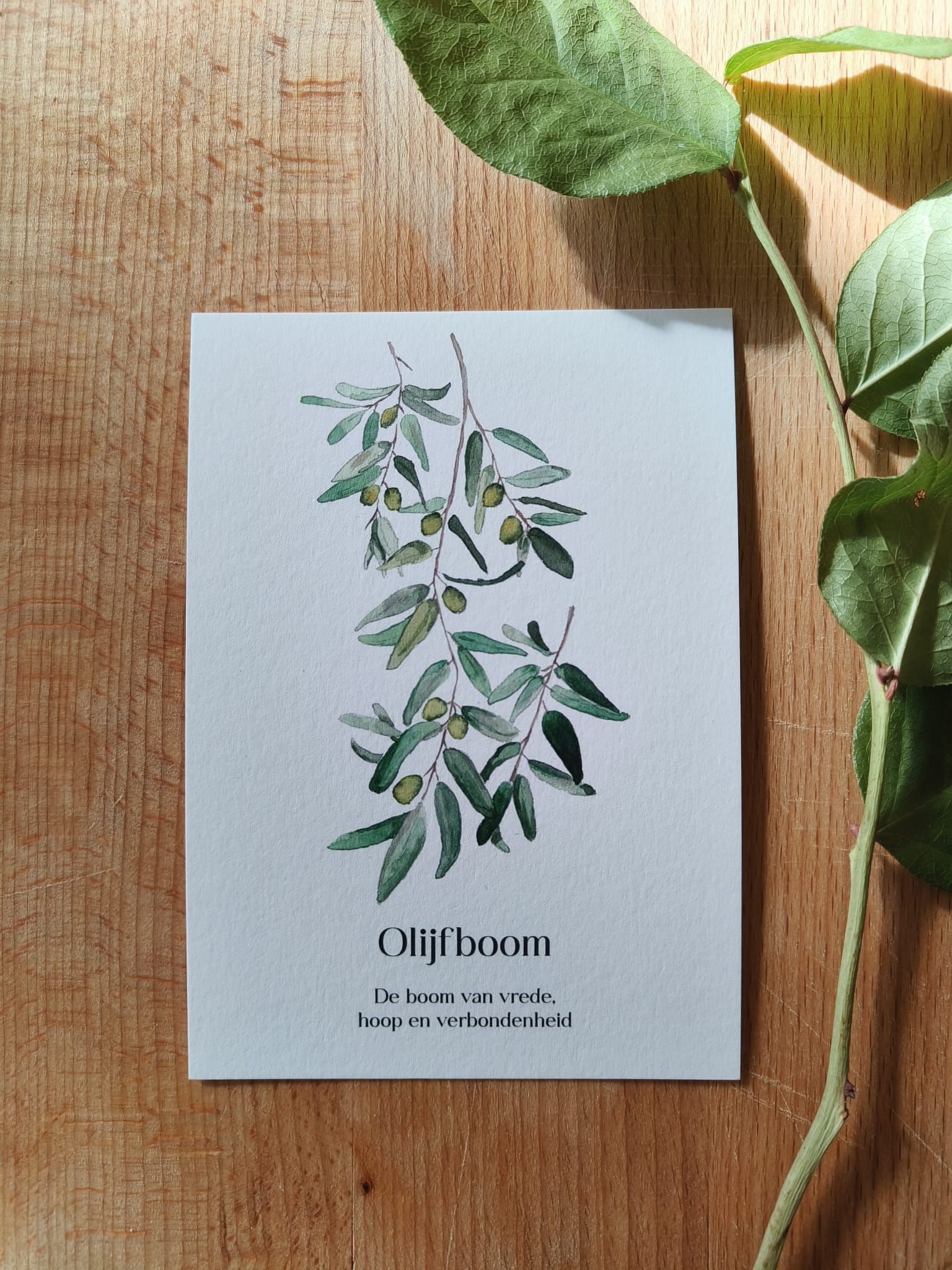 Kaartenset - Botanicals inclusief envelop