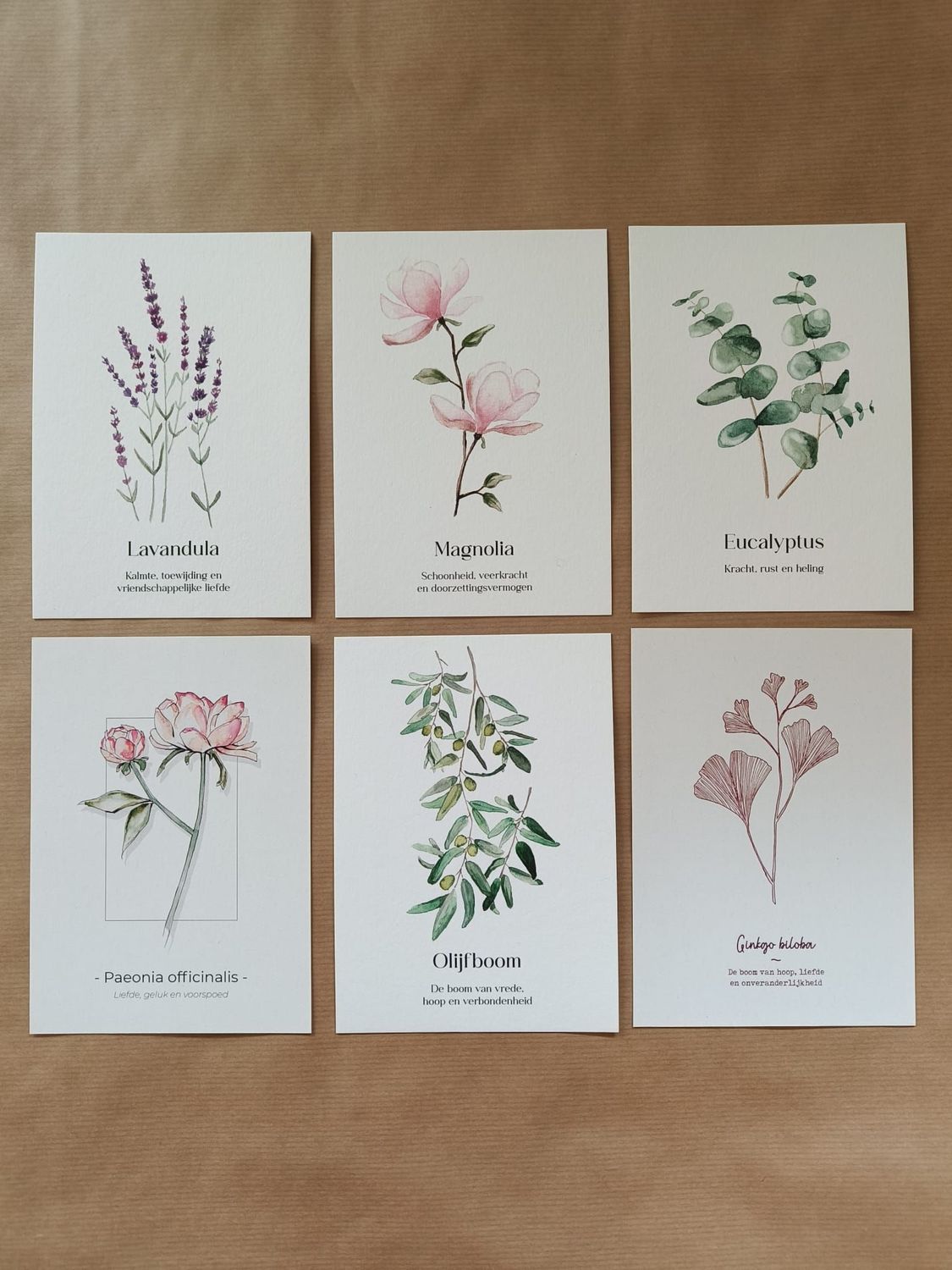 Kaartenset - Botanicals inclusief envelop