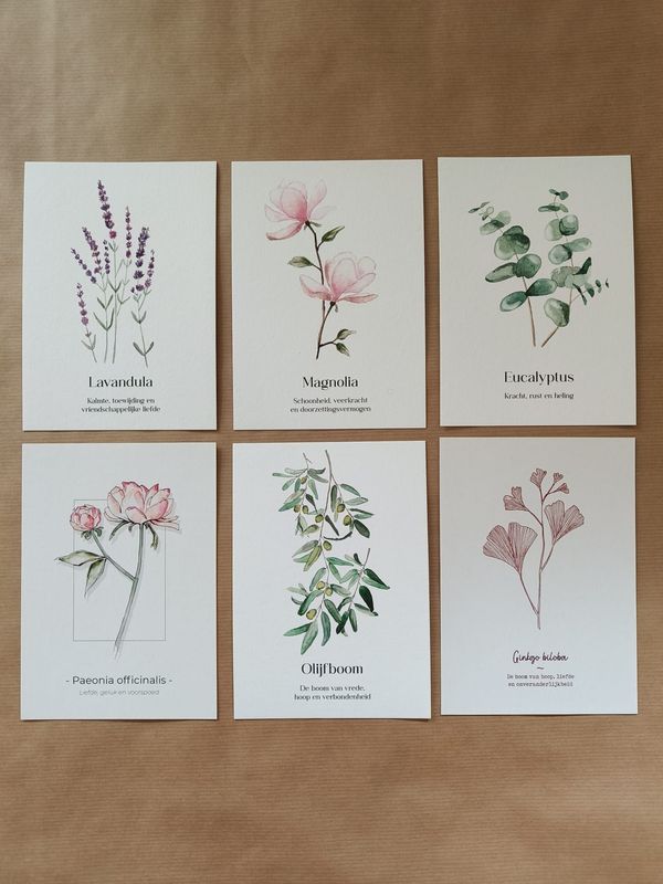 Kaartenset - Botanicals inclusief envelop