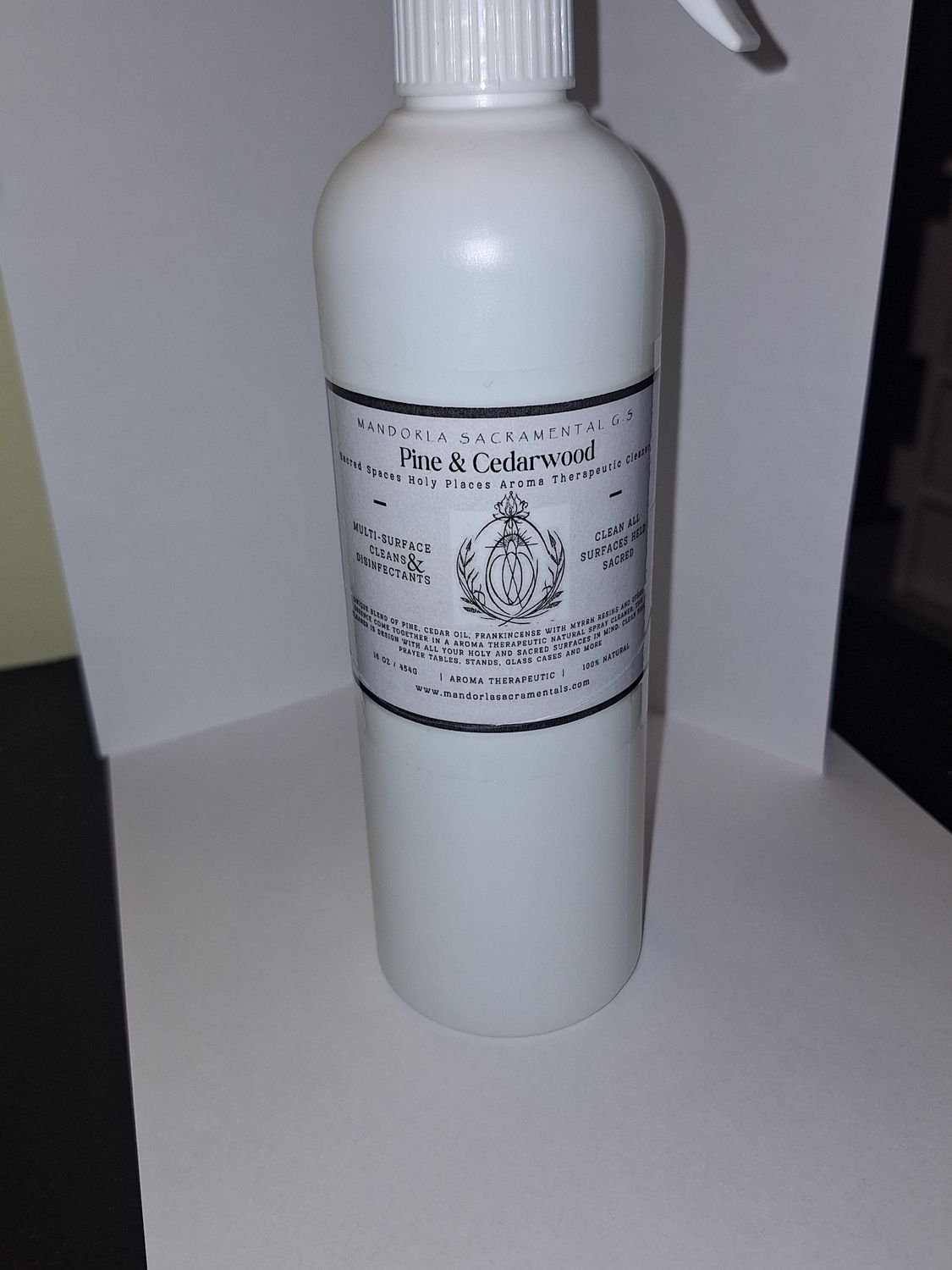Sacred Spaces Holy Places Cleaning Spray (Sacramental)