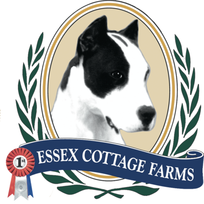 ESSEX COTTAGE FARMS
