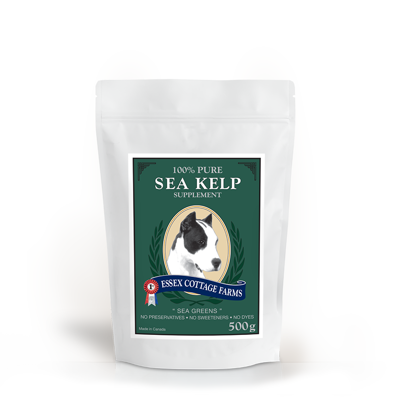 Essex Cottage Farm 100% Pure Sea Kelp Supplement 500g -1lbs