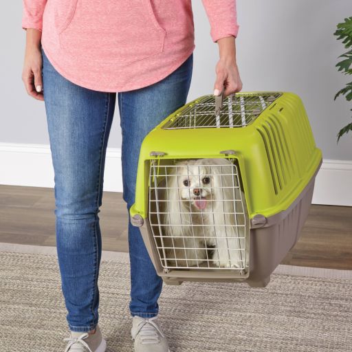 MidWest Homes For Pets Spree Hard-Sided Pet Carrier  24-Inch Spree  Green  2-Door Top Load