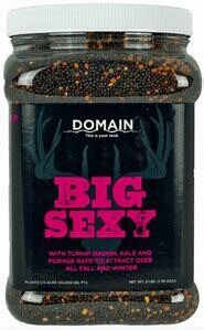 Domain Big Sexy