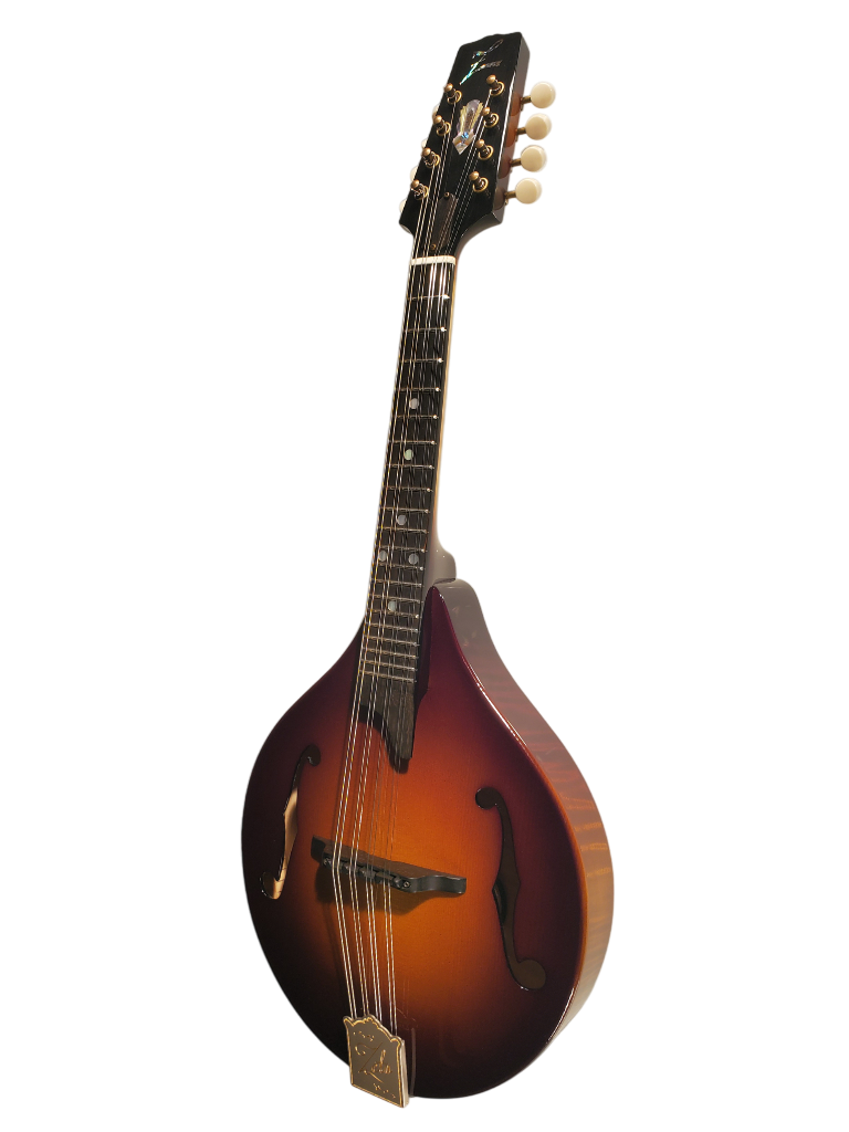 Mandolins – Store – ZETA Violins
