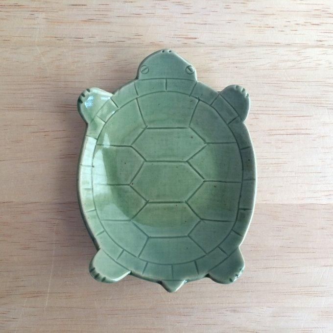Yuki's Turtle Dish