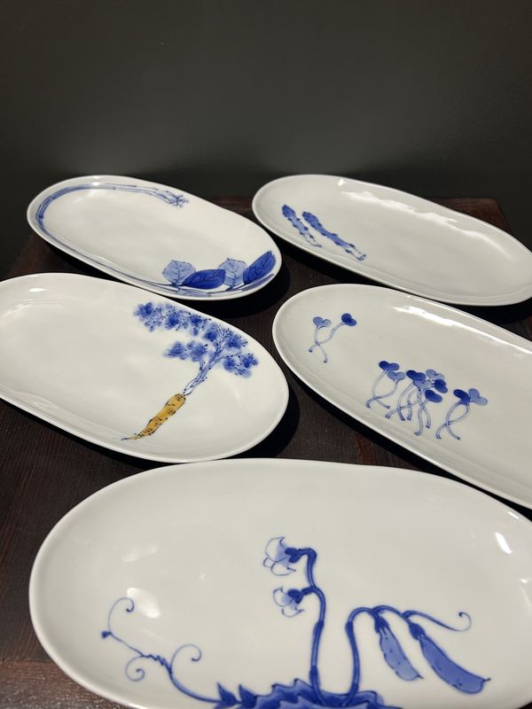 Hasami Ware Shunsai Oval Plate - Five Designs