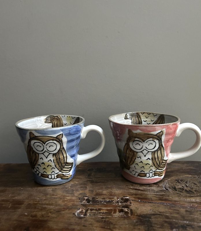 Mino Owl Mug - Two Colours