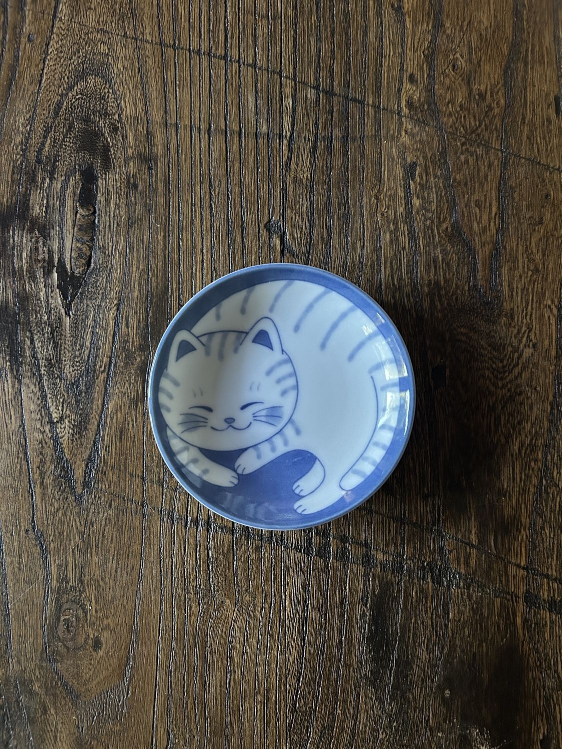 Tabby Cat 10 cm Plate