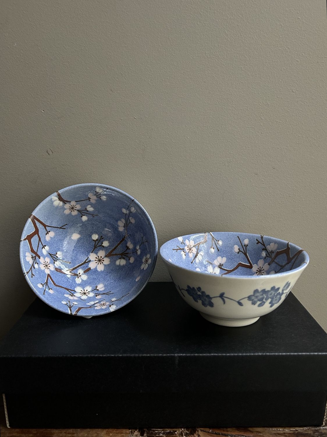Mizu-Zakura Pair Bowl Set