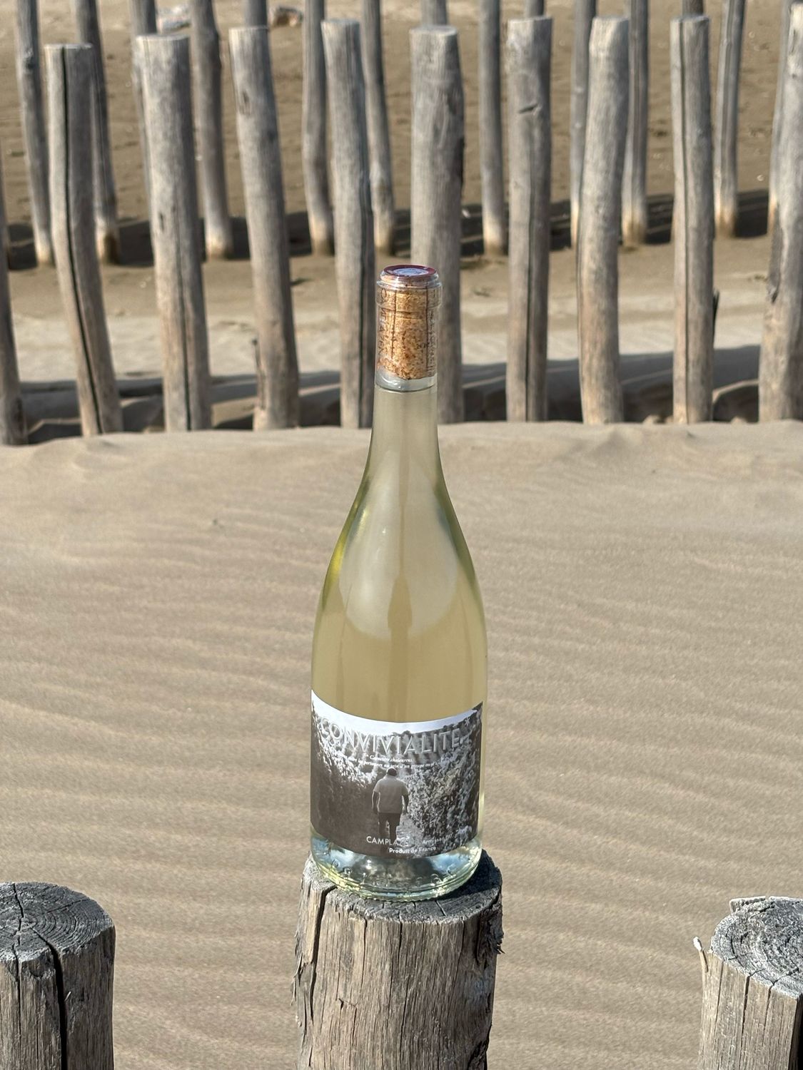 CONVIVIALITE BLANC 2024 - IGP Coteaux de Narbonne