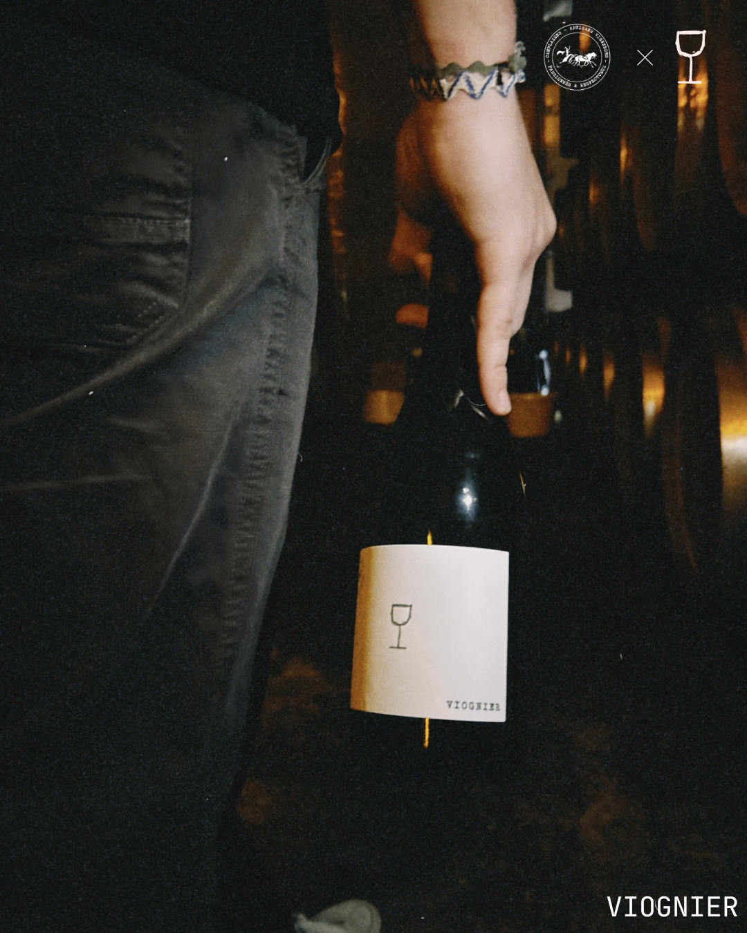 VIOGNIER 2023 - IGP Pays d’Oc