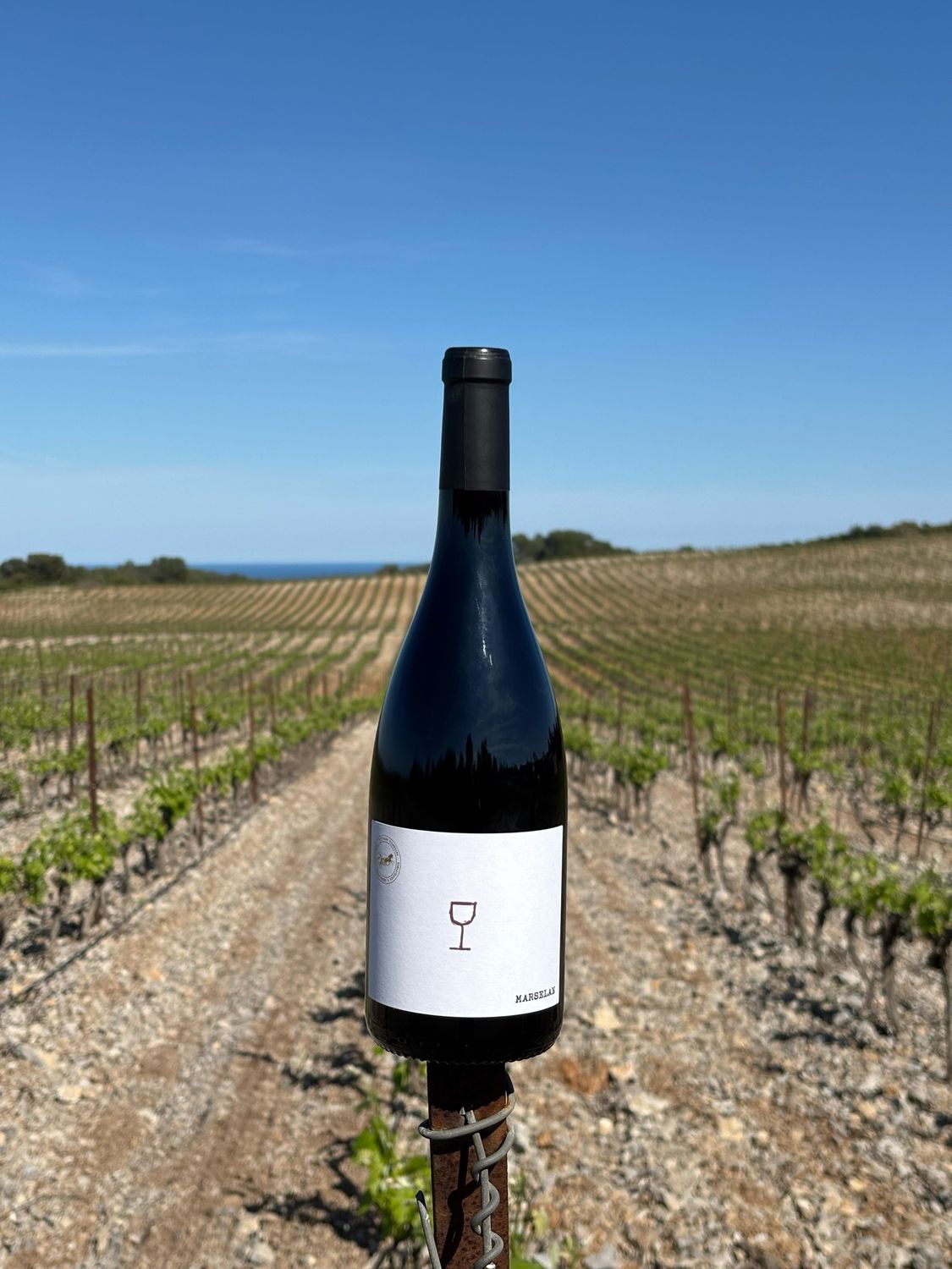 MARSELAN 2025 - IGP Coteaux de Narbonne