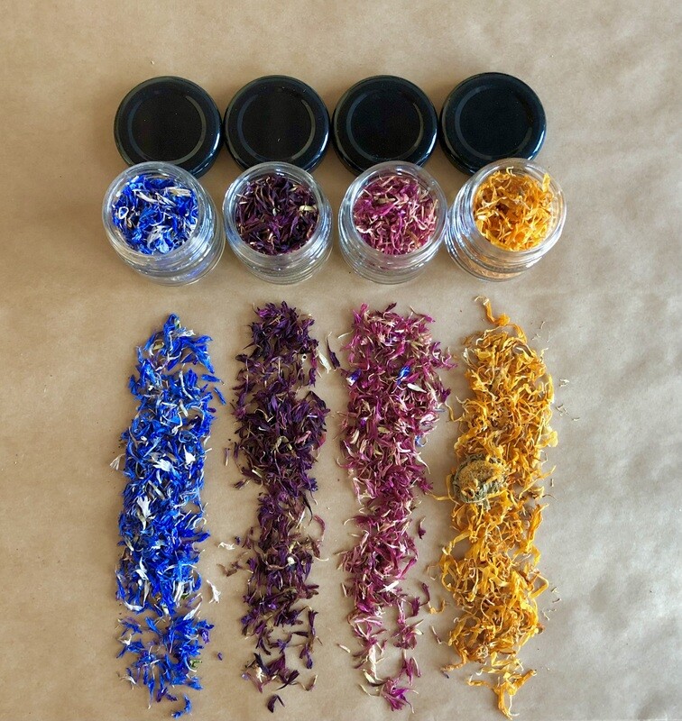 Set fiori commestibili “Summer Colors” 4 vasetti
